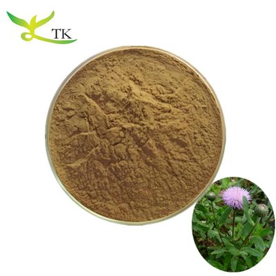 Natural Plant Extract Herba Cephalanoploris Extract Powder 4:1 10:1