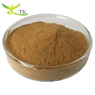 Natural Plant Extract 10:1 Spray Dried Selaginella Extract Selaginella Tamariscina Extract