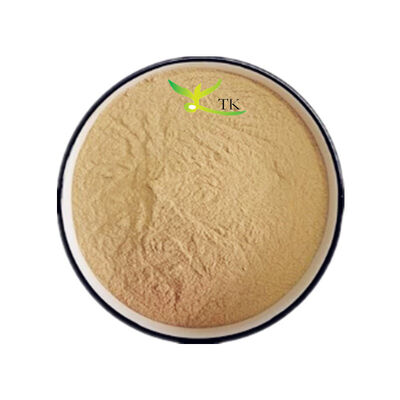 Wholesale Price Natural Snow Lotus Extract Snow Lotus Herb Extract Bulk