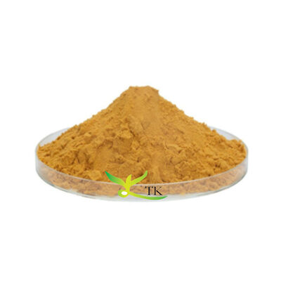 Wholesale Price Natural Food Grade Cleome Gynandra Leaf Extract 10:1