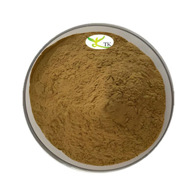 Plant Extract Manufacturer Supply High Quality Siberian Cocklebur Fruit Extract Powder 4:1 10:1