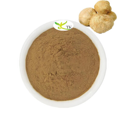 High Quality Mushroom Extract Powder Lions Mane Powder Extract 50:1 Lion's Mane Mushroom Powder