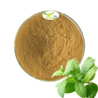 Factory Supply Natural Healthcare Supplement Ingredient Peppermint Extract Powder