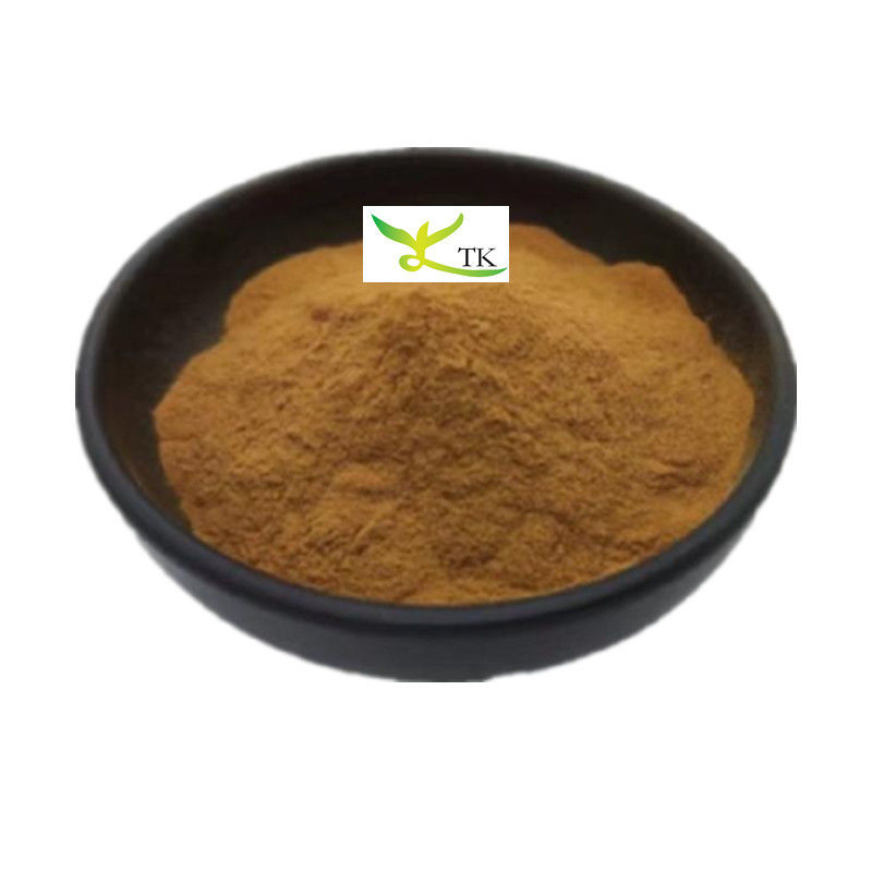 Natural Plant Extract Capparis Spinosa L. Extract Capparis Spinosa Fruit Extract Powder Caper Extract