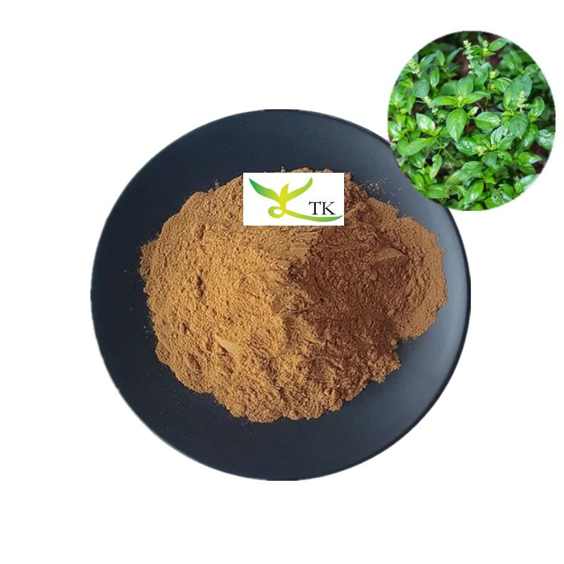 Natural TCM Kalmegh Extract Andrographis Paniculata Extract Powder