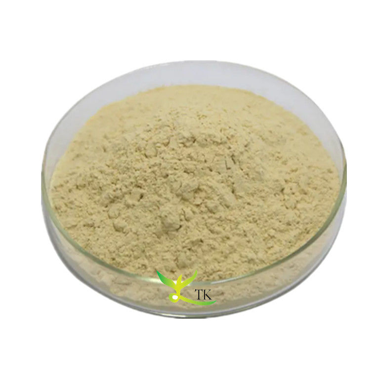 Best Quality 85% Baicalin Baikal Skullcap Root Extract Baicalin Powder Price
