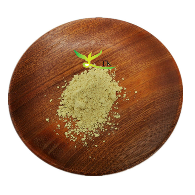 Haccp Factory Supply Natural Sophora Japonica Extract 98% Quercetin Powder Healthcare Supplement