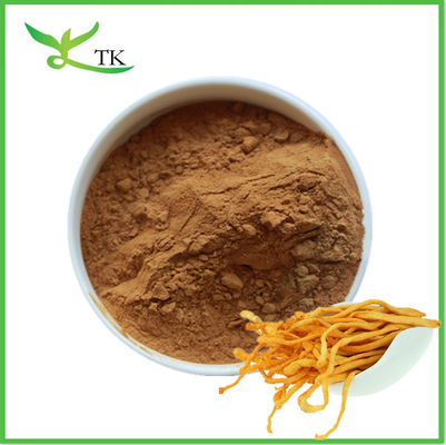 สารสกัดจากเห็ดธรรมชาติ ขนาดผง Cordyceps Militaris Extract ขนาดผง Polysaccharide Cordycepin