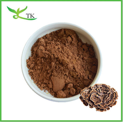 Coriolus Versicolor สีธรรมชาติบริสุทธิ์ ขาวไทยหางเห็ด ขาวแคปซูลอาหารเสริม