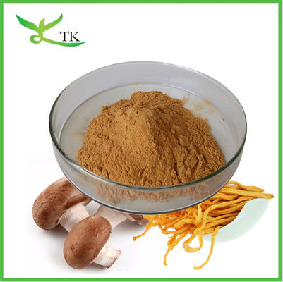 Mix Super Food Powder Private Label Mushroom Blend สารสกัดอาหารเสริม