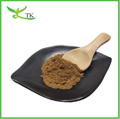 ต้นเห็ดธรรมชาติ ลิงจิ เปลือกแตก Ganoderma Lucidum Reishi สปอร์ขาว