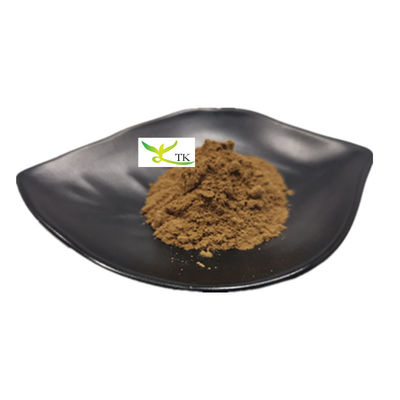 สารสกัดจากเห็ดธรรมชาติ โพลิสาคาริด 20% สารสกัดจากเห็ดชากา ขนาดผง