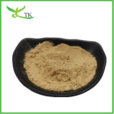 โพลิสาคาริดเห็ดหมากขาว Agaricus Bisporus Mushroom Extract Powder