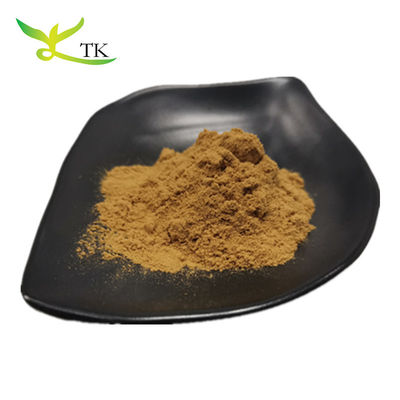 ขายปลีก ขนาดใหญ่ Yerba Mate สารสกัด พารากวัยธรรมชาติ Tea Mate Tea Extract