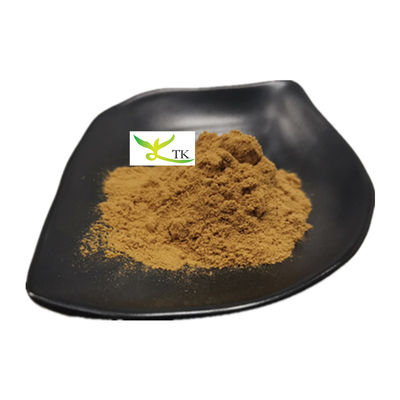 100% สารสกัดจากเห็ดออสไตร์ธรรมชาติ ขนาดผง สารสกัดจากเห็ด Pleurotus Ostreatus