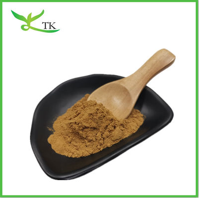Cistanche Tubulosa Extract Powder 50% อีชินาโคไซด์ + 10% เวอร์บาสโคไซด์