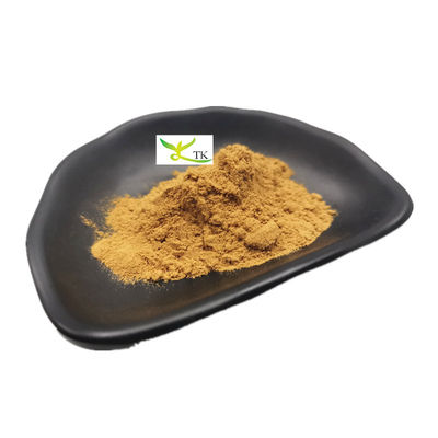 สารสกัด Astragalus Membranaceus ของธรรมชาติ Astragaloside IV Cycloastragenol Powder
