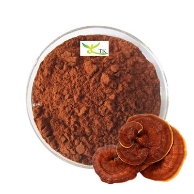ราคาปลีก ขนาดใหญ่ 100% Ganoderma Lucidum Reishi สับสปอร์ขุ่นธรรมชาติ