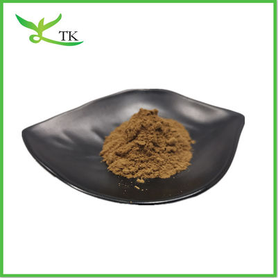 อาหารเสริม Cistanche Tubulosa Extract Powder 50% เอชินาโคไซด์ + 10% เวอร์บาสโคไซด์
