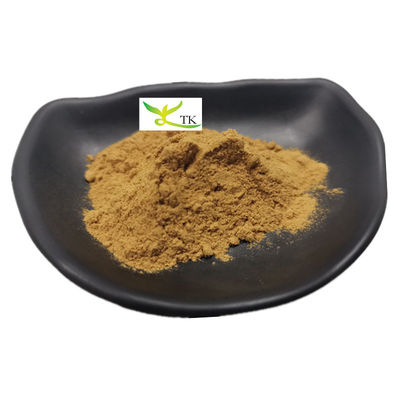 ราคาปลีก การนําเสนอธรรมชาติ Nasturtium Officinale Watercress Extract 10: 1