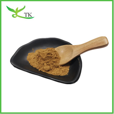 Cordyceps Sinensis 40% โพลิสาคาริด โคลดิสเซปิกแอซิด Cordyceps Sinensis สารสกัด