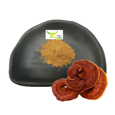 ขายปลีก Ganoderma Lucidum Extract Reishi Mushroom Extract ขนาดฝุ่น โพลิสาคาริด 30%