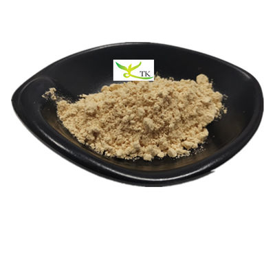 สารสกัด Tremella Fuciformis ของธรรมชาติ ขาว สารสกัด Tremella Mushroom โพลิสาคาริด 30%