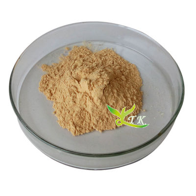 สารสกัดจากปุยน้ําทะเลความบริสุทธิ์สูง Fucoidan Powder