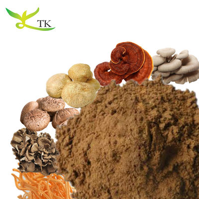 100% ของธรรมชาติ Reishi เสือ'S Mane Shiitake Maitake Chaga ตุรกีหาง Mushroom สารสกัดผง