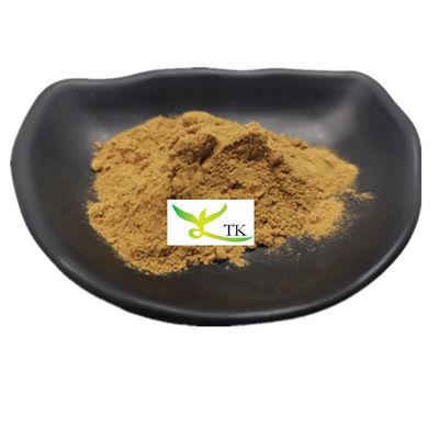 100% สารสกัดจากเห็ดหญ้าแซ่บธรรมชาติ ขนาดผง โพลิสาคาริด Phellinus Igniarius Extract