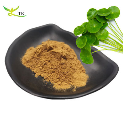 โรงงานมืออาชีพ ราคาดีที่สุด จําหน่าย Gotu Kola Extract 10% จํานวนทั้งหมด