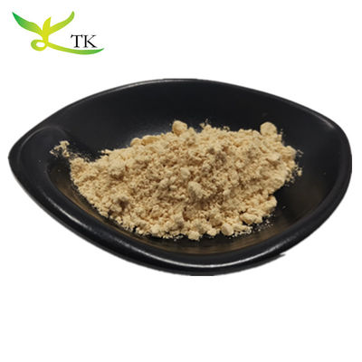 คุณภาพสูงสุด 100% สะอาดธรรมชาติ Panax Ginseng Root Extract Ginsenosides Powder 10% ~ 80%
