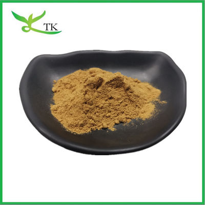 ราคาปลีก สารสกัดจากรากหอม สับ Arctiin 10% 30% อาหารเสริมสุขภาพ