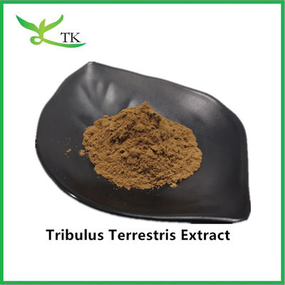 ขายปลีก ราคาดีที่สุด 100% สารสกัด Tribulus Terrestris ของธรรมชาติ สับ Saponin 40%