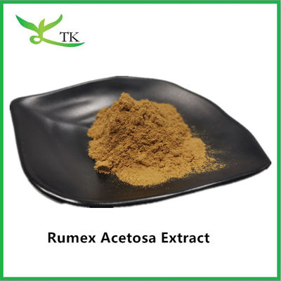 ราคาปลีก 100% สารสกัดจากสมุนไพรธรรมชาติ Rumex Acetosa L. สารสกัดเป็นผง