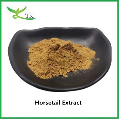 100% สารสกัดจากหางม้าธรรมชาติ ขนาดผง Equisetum Arvense Extract 10:1