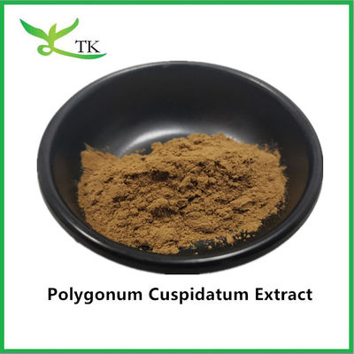 สารสกัดจากพืชธรรมชาติที่บริสุทธิ์ พืชสกัดจากพืชยักษ์ยักษ์ Polygonum Cuspidatum สารสกัดจากพืช 20% Resveratrol