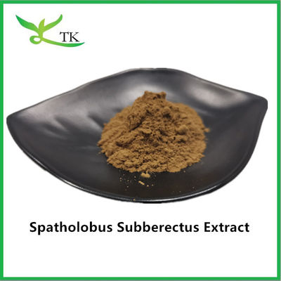 100% สารสกัดจาก Caulis Spatholobi พูน สปาโตโลบัส ซูเบเรคตัส สารสกัดจาก