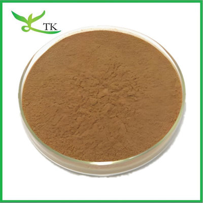 ราคาปลีก สารสกัด Polypodium Leucotomos สารสกัด Polypodium Extract