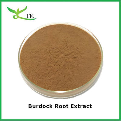 อาหารเสริมสมุนไพร Arctium Lappa Extract ผงผงผงผงผงผงผงผงผงผงผงผงผง
