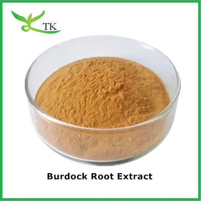 พูนสมุนไพรพืชธรรมชาติ สารสกัดจากราก Arctium Lappa สารสกัดจากราก Burdock