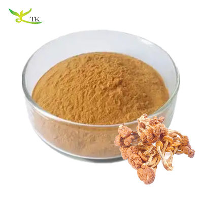 สินค้าอาหาร สดใสธรรมชาติ Pholiota Nameko Extract Polysaccharides Powder