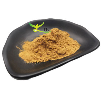 ราคาปลีก สินค้าอาหาร เกรด Galangal Extract Galangal Root Extract Powder