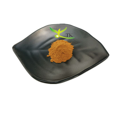 สารสกัดจากสมุนไพรธรรมชาติ Vitex Agnus Castus สารสกัดจากสมุนไพรธรรมชาติ Vitex Agnus Castus