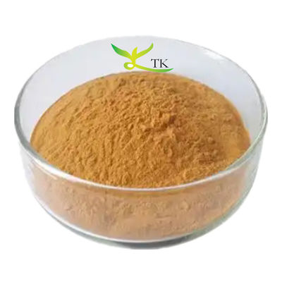 ราคาปลีก 100% สารสกัดจากเวอร์บัสคัม ทาปซัสธรรมชาติ สับ 10:1