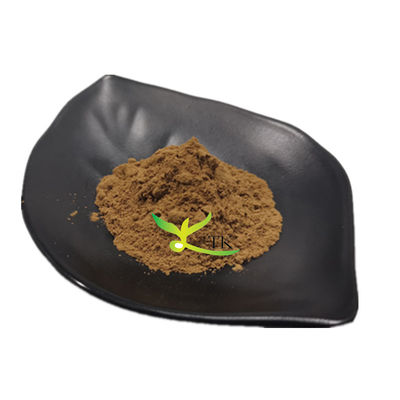 นาธรรมชาติ Fucoidan Powder สารสกัดจากปลาสมุทรสีน้ําตาล Fucoidan Price