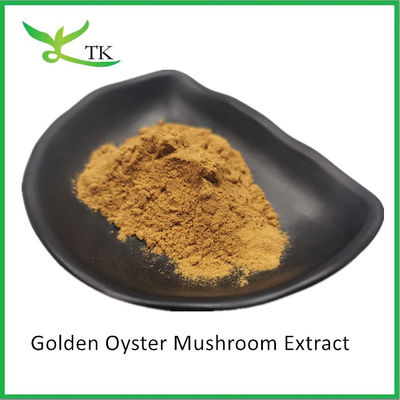 อาหารเสริมเห็ดธรรมชาติ Pleurotus Citrinopileatus ผงสกัดเห็ดหอยทอง