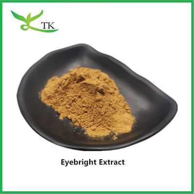 ผงสกัดจากสมุนไพร Eyebright ธรรมชาติ 100% เกรดอาหาร ผง Eyebright ราคาขายส่ง