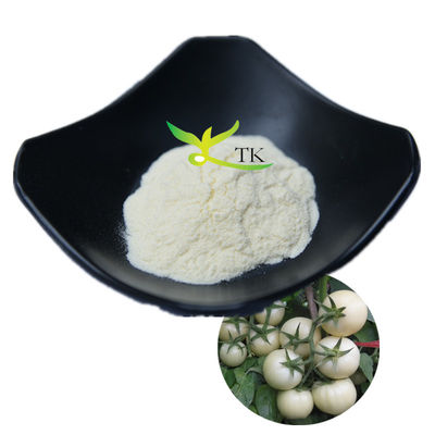 ผงมะเขือเทศขาว Solanum Lycopersicum ธรรมชาติ 100% ขายดี 10:1 20:1