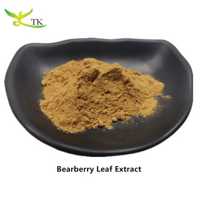 สารสกัดจากพืชธรรมชาติ สารสกัดจากใบเม็ดหมี สารสกัดจากใบ Arctostaphylos Uva Ursi สารสกัดจากใบเม็ด